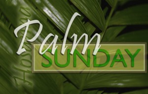 Palm Sunday - 2013-website copy